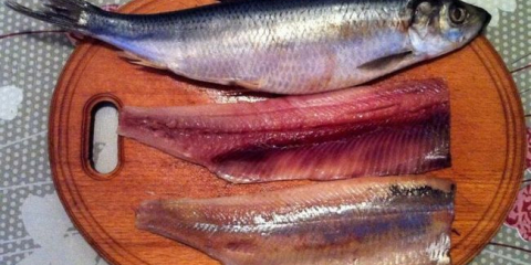 Jak rychle a správně nakrájet sledě z kostí na filety